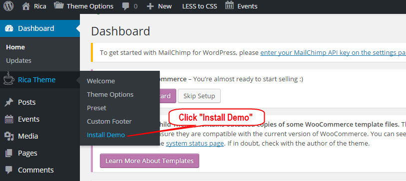 Import Demo Content in One Click